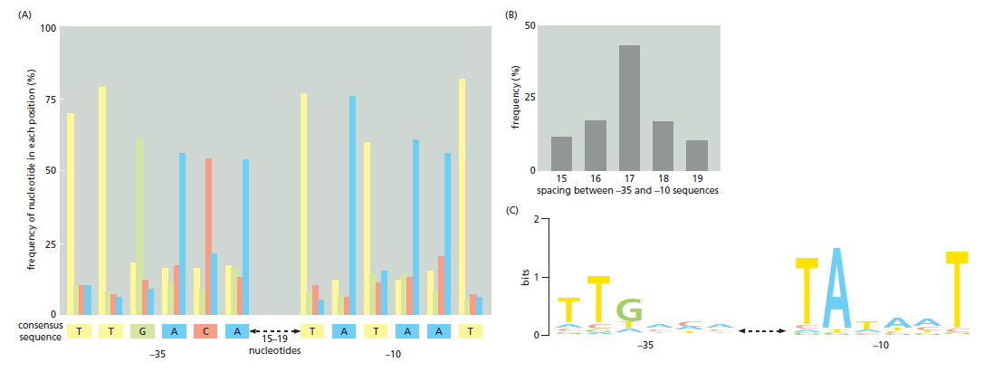 Figure 6-12.png